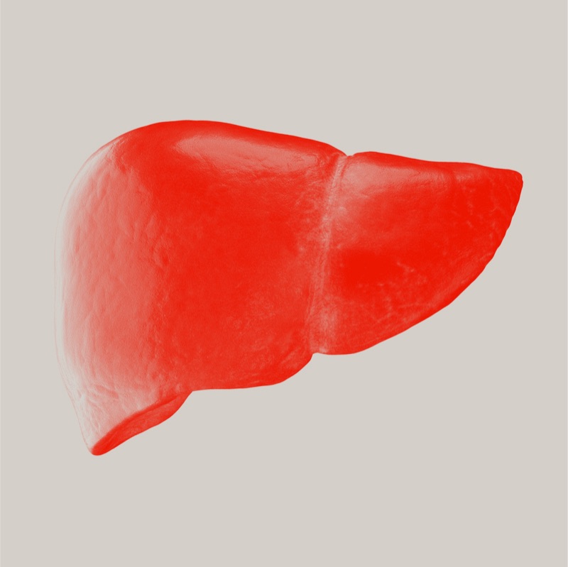 Liver